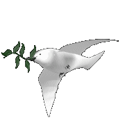 doveuse.gif (32789 bytes)
